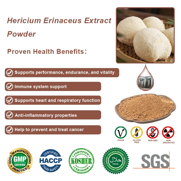 Organic Lion&prime; S Mane Mushroom Plant Extract Hericium Erinaceus Reishi Cordyceps Militaris Mushroom Herbal Powder