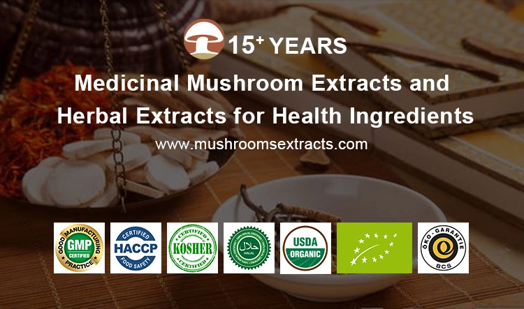 Organic Reishi Lingzhi Ganoderma Lucidum Mushroom Herbal Powder Ganoderma Mushroom Plant Extract as Adaptogenic Mushroom