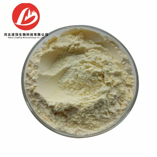 Cosmetic Raw Materials All Trans-Retinal CAS: 116-31-4