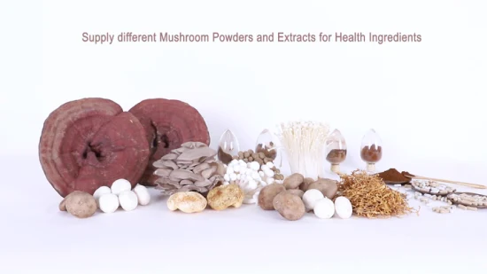 Reishi Mushroom Herbal Powder Tremella Mushroom Shiitake Mushroom Maitake Mushroom Plant Extract as Mushroom Blends